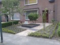 /album/fotogalerij/koning-voortuin-4-jpg/